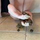 Jessiekaypoops