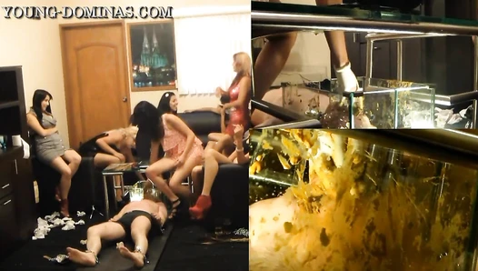 Sorry Slave you Stay until you Swallowed all the Shit Part 2