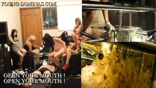 Sorry Slave you Stay until you Swallowed all the Shit Part 2