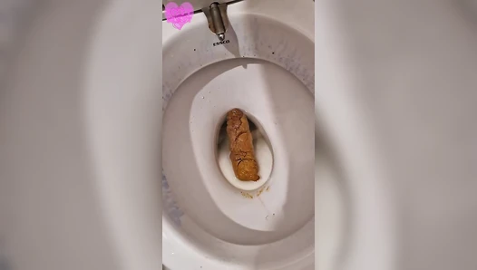 Kitty Skatt - Four unflushable logs