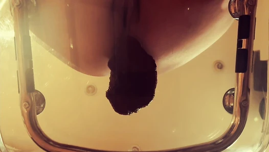 Arisdark - Poop in transparent chair