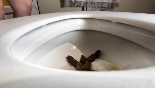 Classy N Gassy - My messiest smelliest poops plus public poop