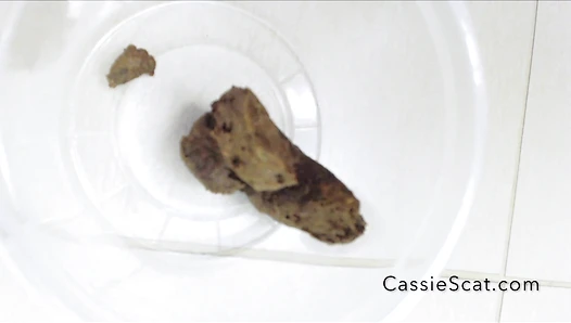 CassieScat - Slow, Constipated Birthing Position Shit