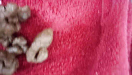 PooGirlSofia - Peeing on towel, pooing on toilet and pooping on towel