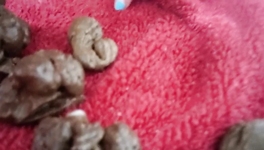 PooGirlSofia - Peeing on towel, pooing on toilet and pooping on towel