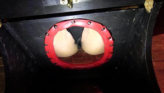 padronagaia - Mistress Gaia - Only for you, toilet slave!