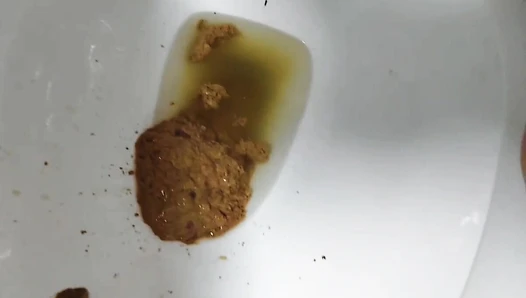 Sarathonson - I go poopy in the toliet