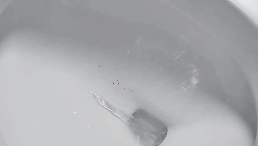 Sarathonson - I go poopy in the toliet
