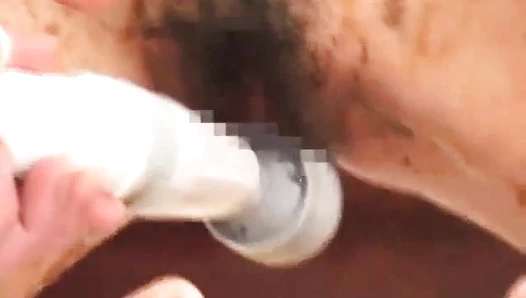 Fetidistrojp - Woman Covered in Poop is Fucked!