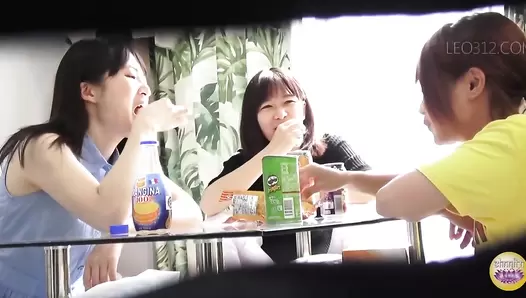 DLSL-350 03 Scat voyeur at the girls home parties. VOL. 2