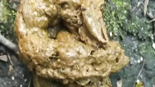 PM093 04 Peeping And Harassment After Pooping.