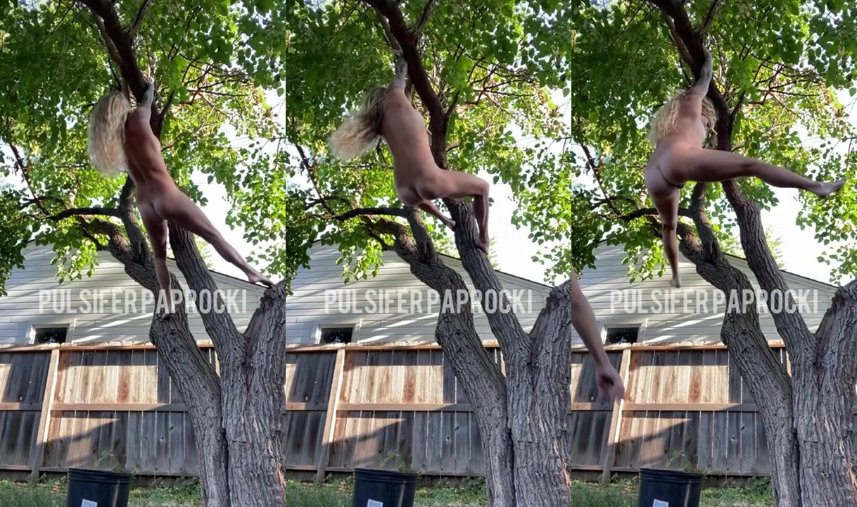 PulsiferPaprocki – Hanging Tree Poop