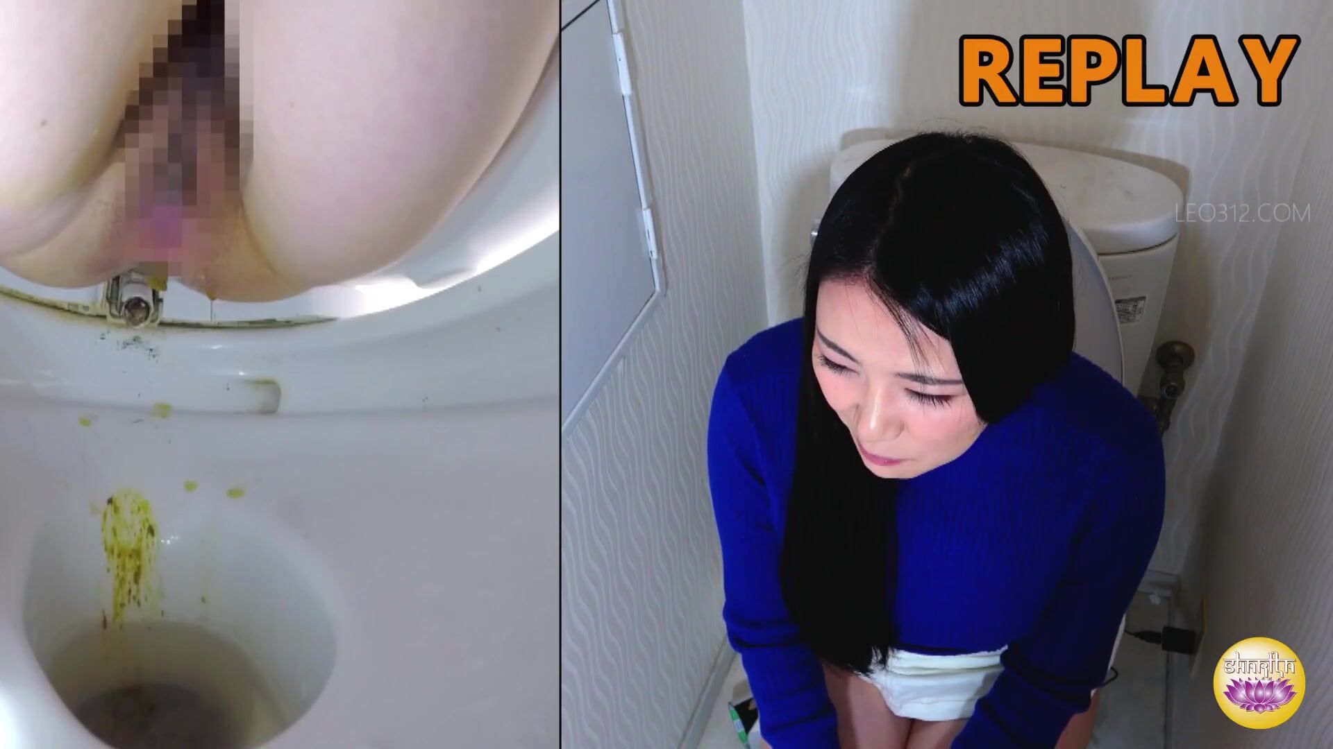 SL-453 02 Scat voyeur at the girls home parties. VOL. 3