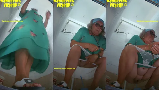 Beach Toilet 2023 (003K)