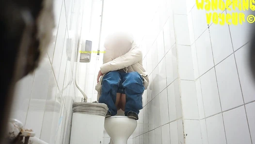 Shopping Centre Toilet 2022 (212K)